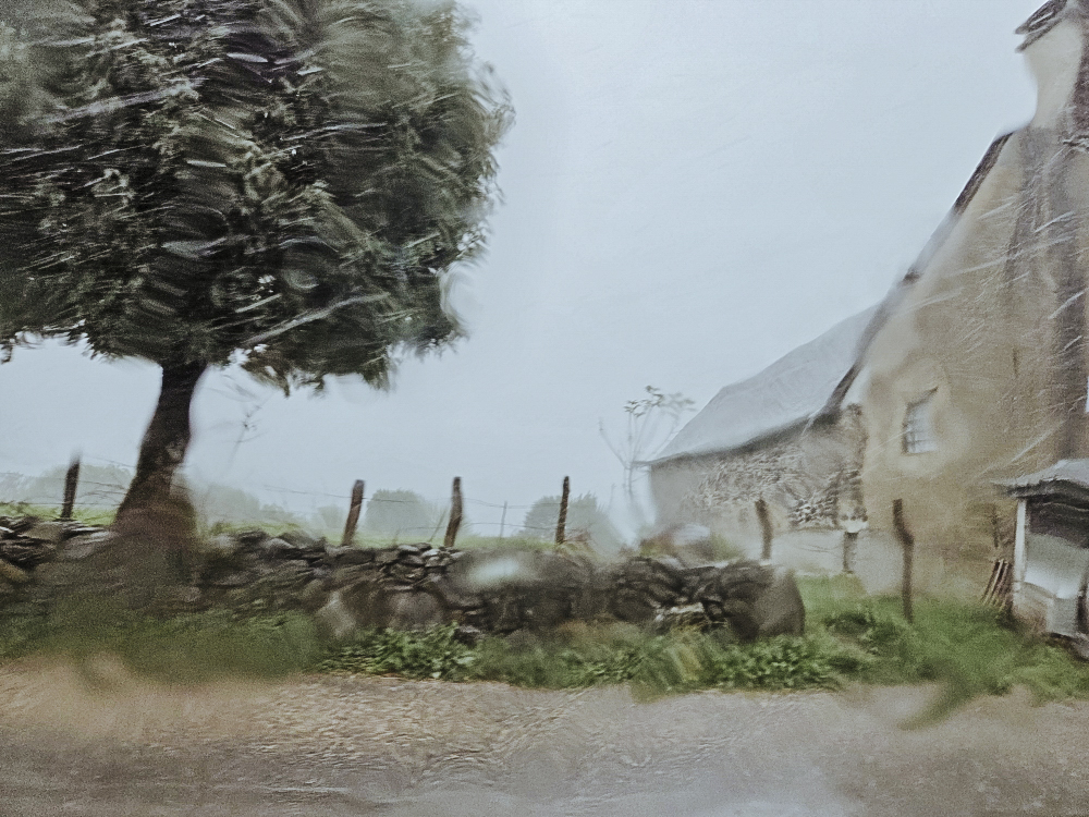 samsung-113-sans-redim