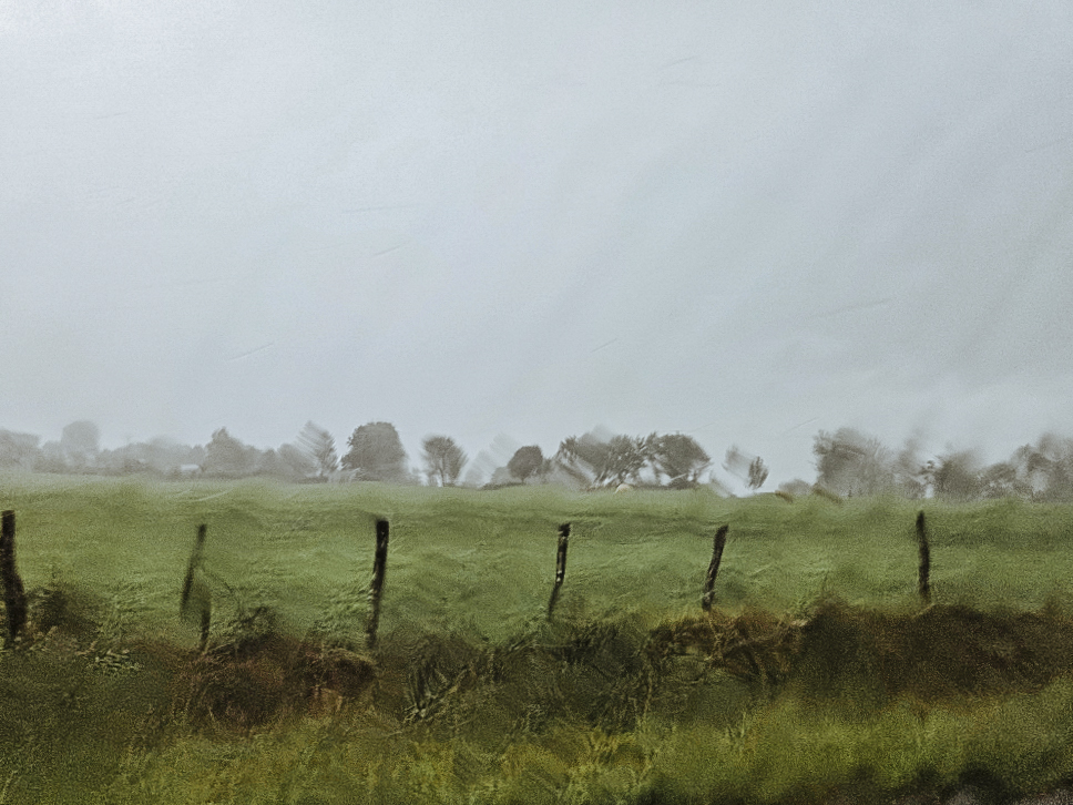 samsung-116-sans-redim