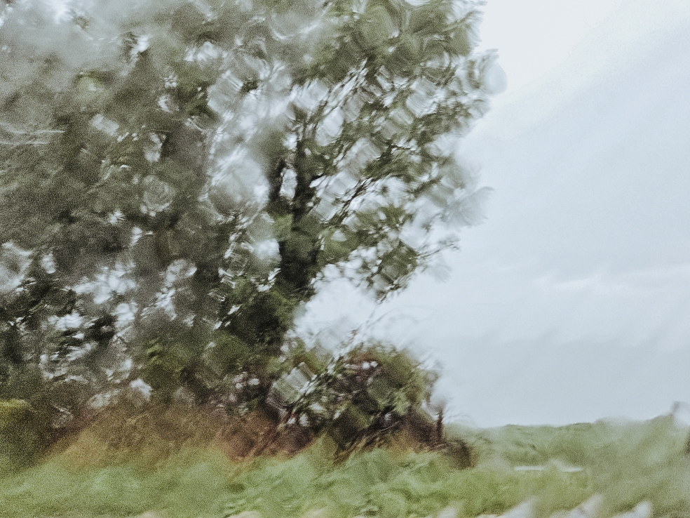 samsung-121-sans-redim